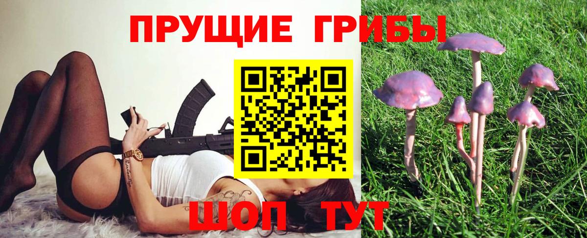 Галлюциногенные грибы MAGIC MUSHROOMS  Вход с VPN  Арсеньев  Псилоцибиновые грибы Cubensis 